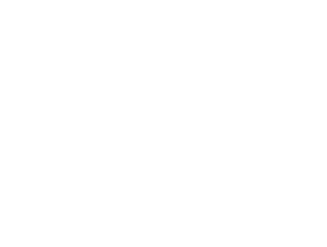 Welsch Dynamics